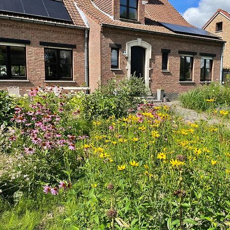 B&B Den Biesthoek Grimbergen Exterior foto